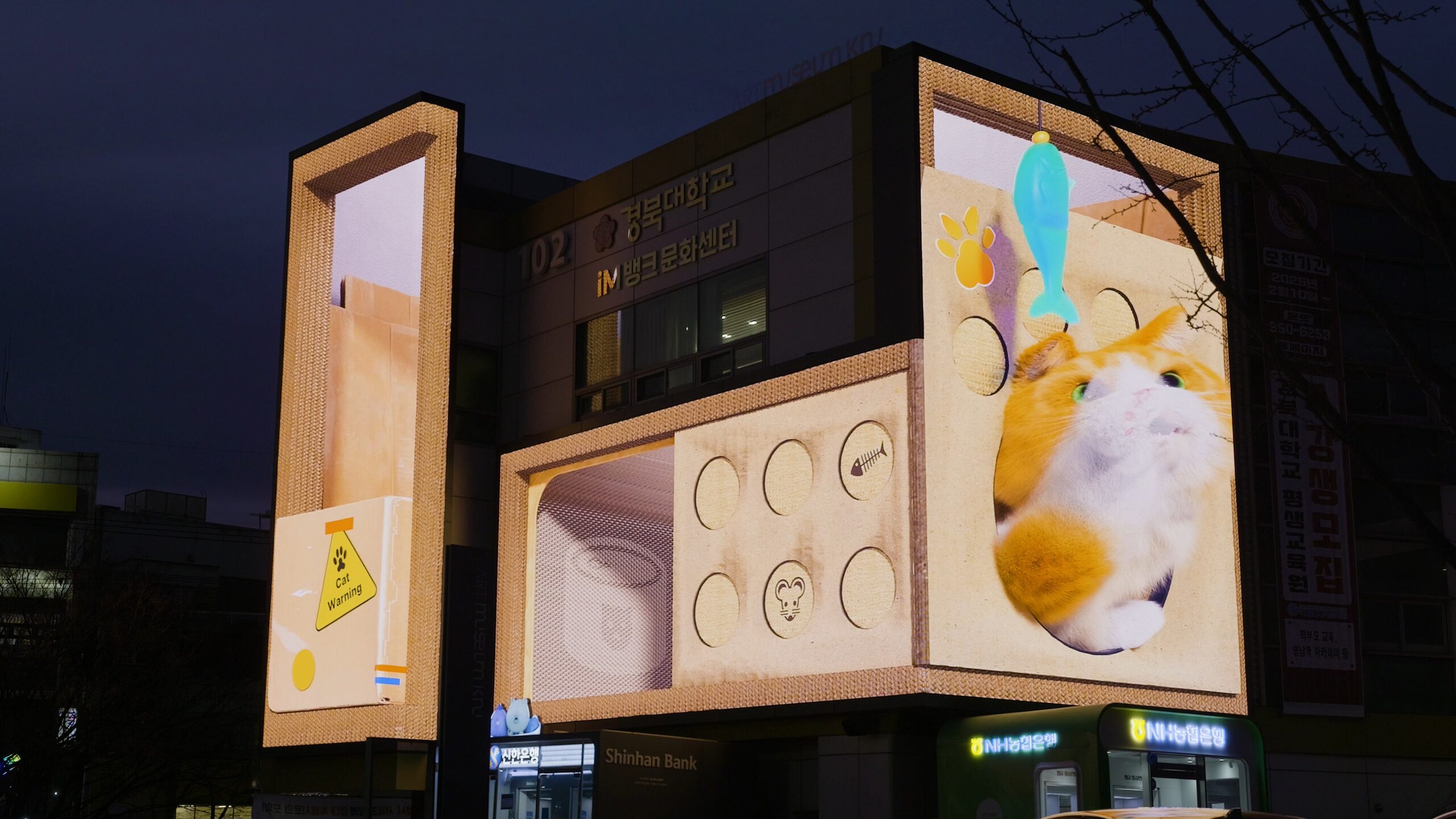 Daegu Smart Town Anamorphic