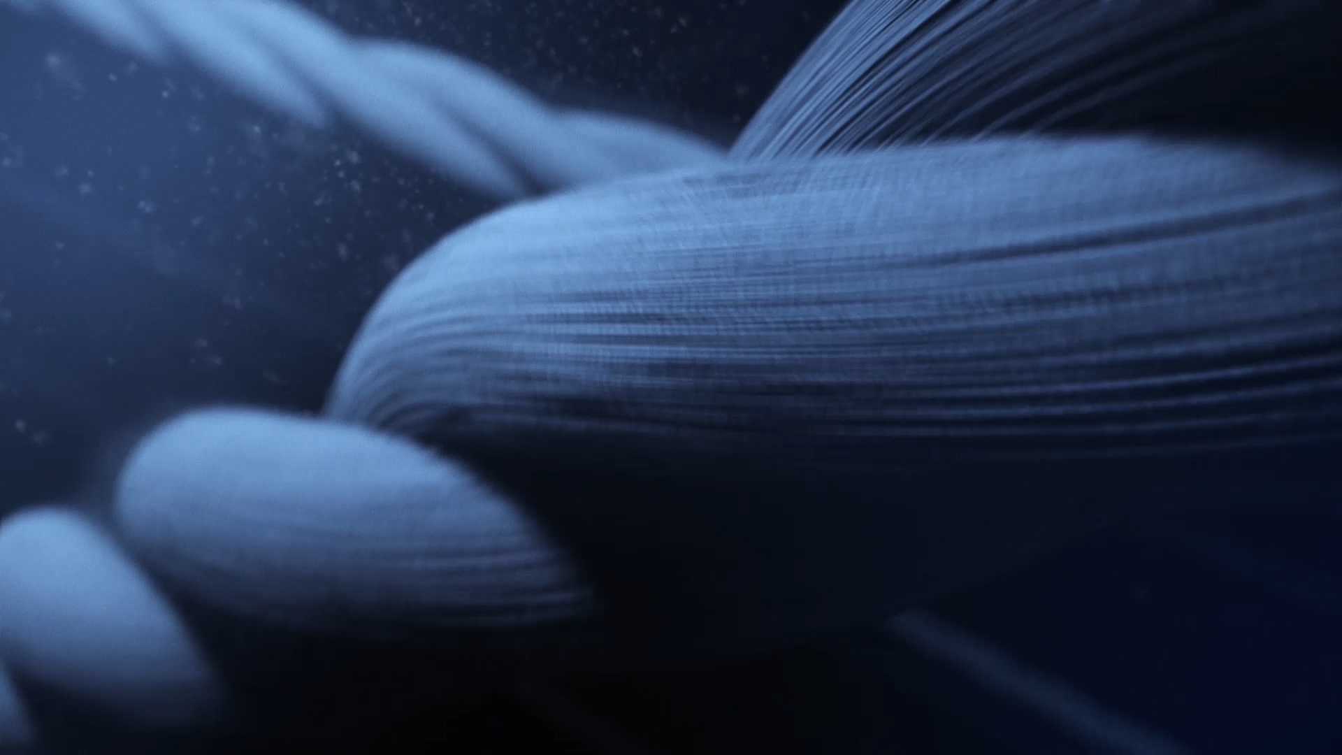 Descente Schematech — frame 15